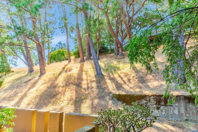 94 Forest Ln, San Rafael, CA 94903