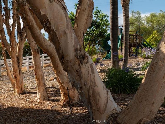 31899 Calle De Talar, Bonsall, CA 92003