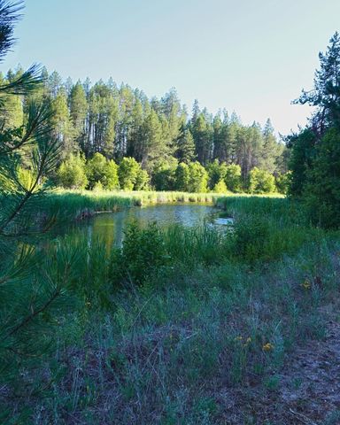 NKA Pines Rd, Newport, WA 99156