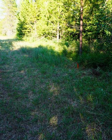 NKA Pines Rd, Newport, WA 99156