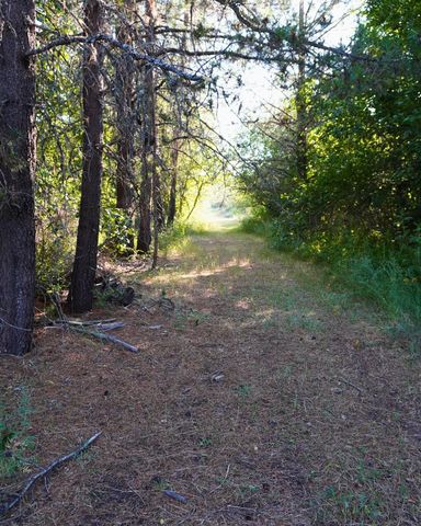 NKA Pines Rd, Newport, WA 99156