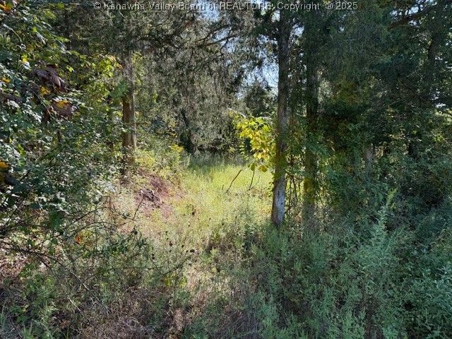 5291 Eighteen Mile Creek Road, Buffalo, WV 25123