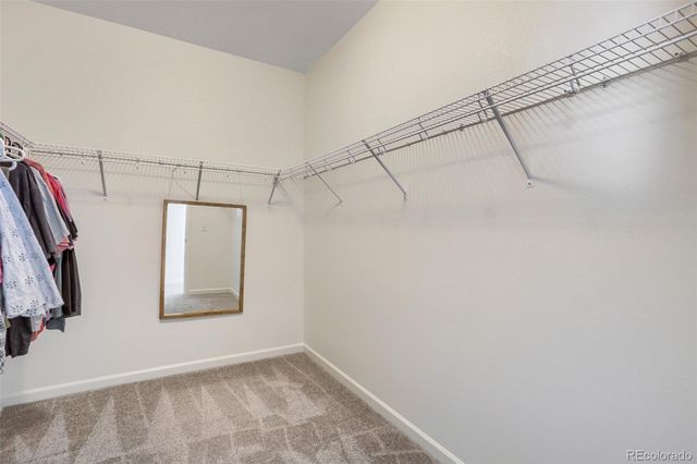 14583 Normande Drive, Mead, CO 80542