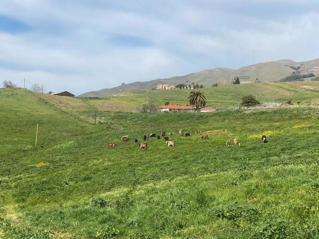 2375 Old Calaveras Road, Milpitas, CA 95035