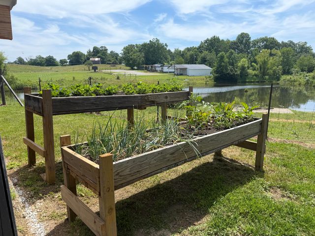 75 Letha Petrey Road, Williamsburg, KY 40769