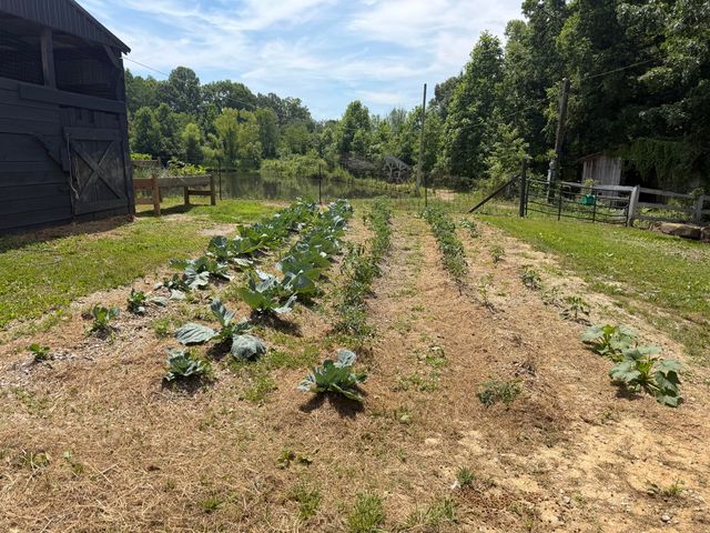 75 Letha Petrey Road, Williamsburg, KY 40769