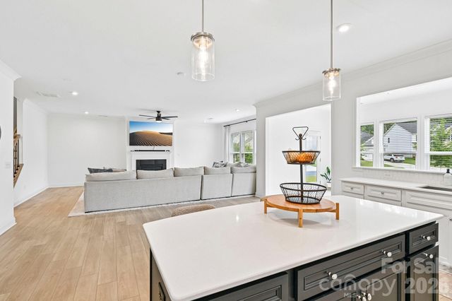 4650 Cava Court, Indian Land, SC 29707