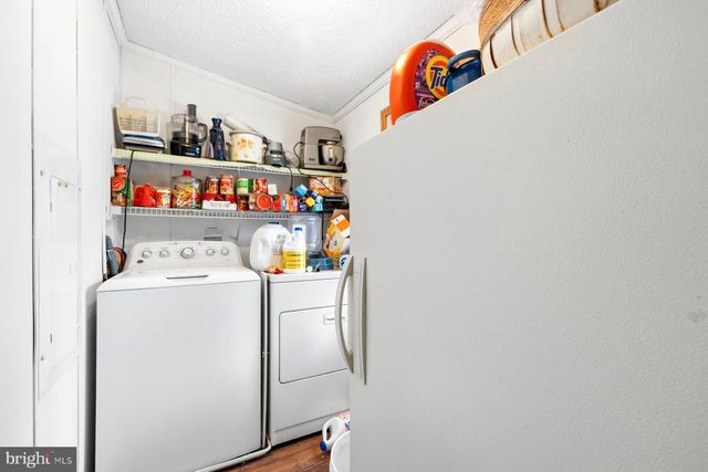 5675-1 MOUNT HOLLY RD, East New Market, MD 21631