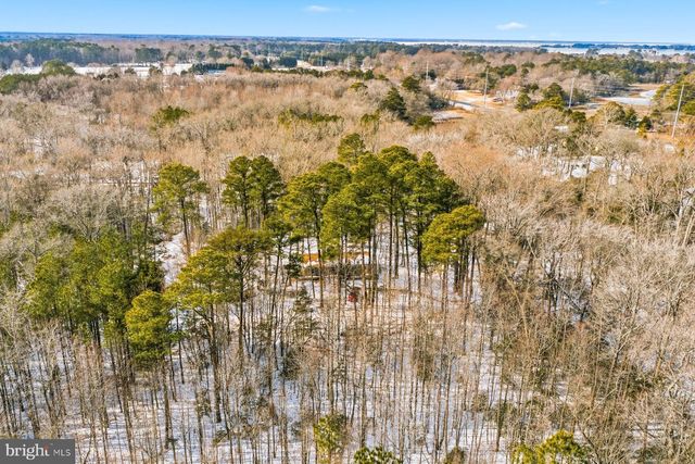 5675-1 MOUNT HOLLY RD, East New Market, MD 21631