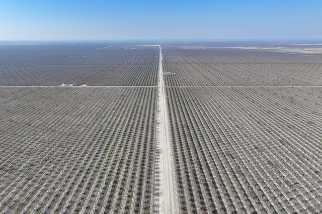 0 Hwy 43, Allensworth, CA 93219