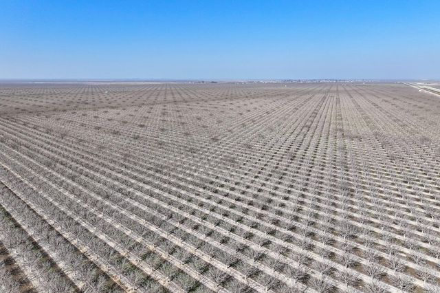 0 Hwy 43, Allensworth, CA 93219