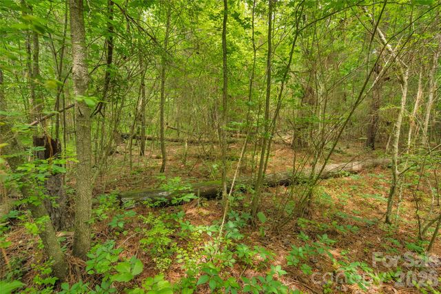 0000 Lucy Short Cut Road 3, Marshville, NC 28103