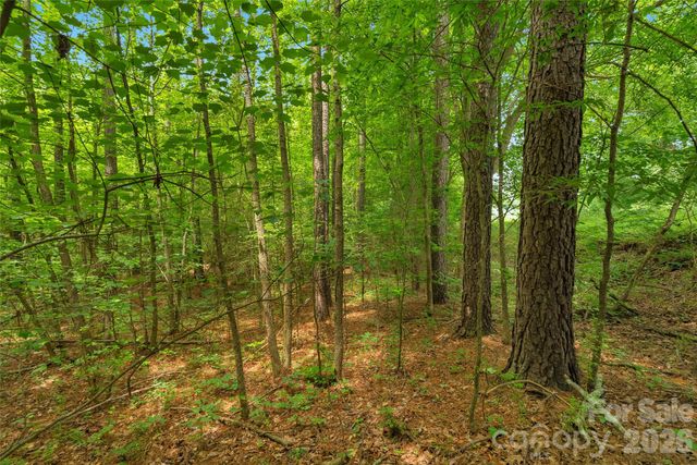 0000 Lucy Short Cut Road 3, Marshville, NC 28103