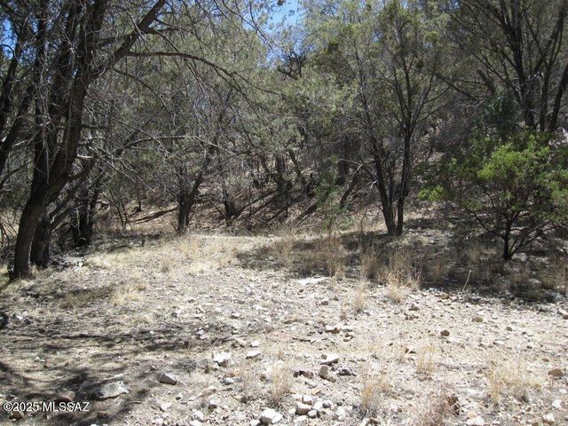 Tbd Keystone Road # 17-A, Patagonia, AZ 85624