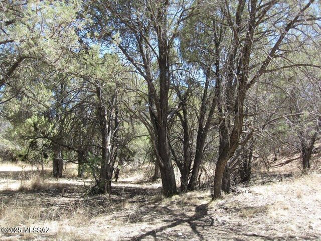 Tbd Keystone Road # 17-A, Patagonia, AZ 85624