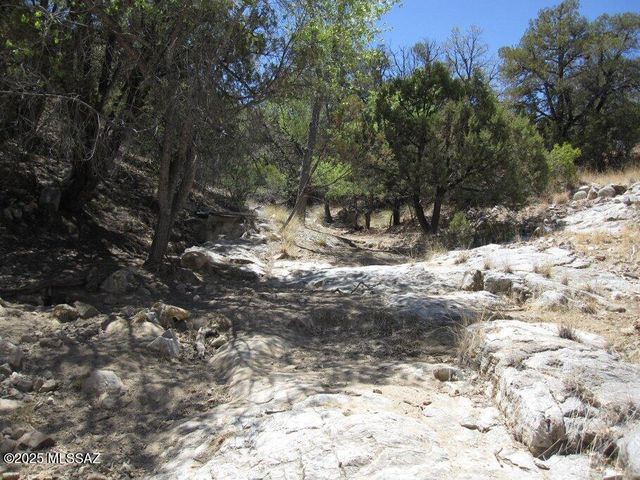 Tbd Keystone Road # 17-A, Patagonia, AZ 85624