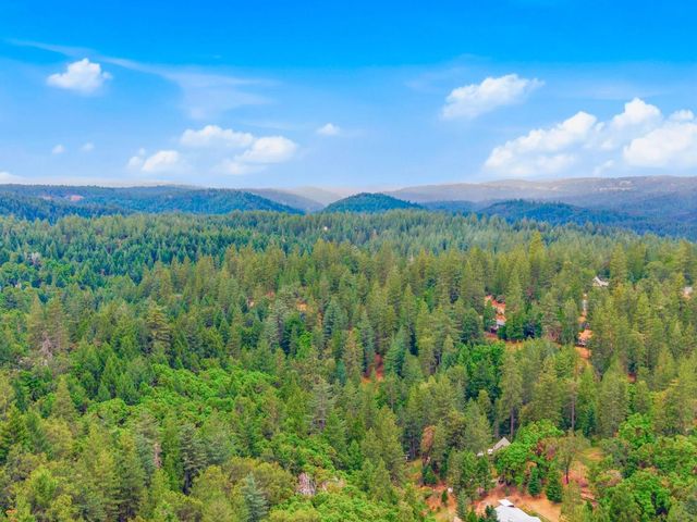 25976 Kings Ct, Pioneer, CA 95666