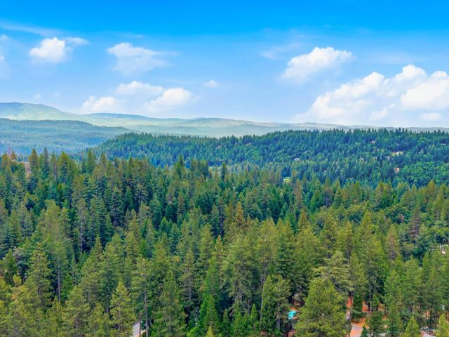 25976 Kings Ct, Pioneer, CA 95666