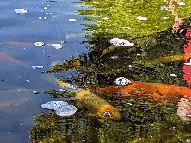 3935 S 7200 W, Magna, UT 84044