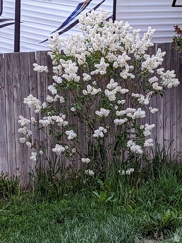 3935 S 7200 W, Magna, UT 84044