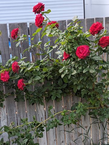 3935 S 7200 W, Magna, UT 84044