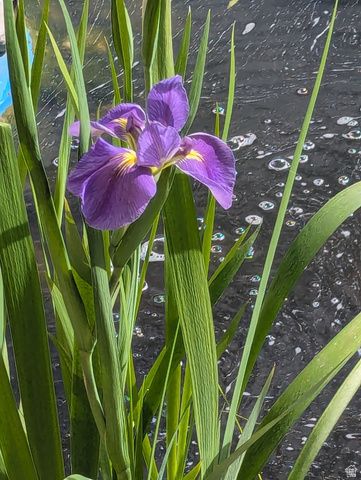 3935 S 7200 W, Magna, UT 84044