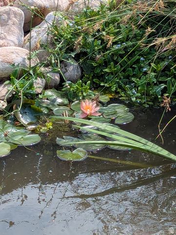 3935 S 7200 W, Magna, UT 84044