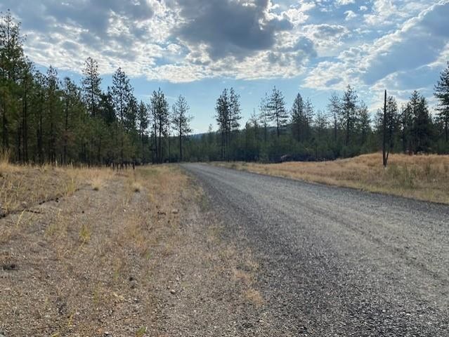 5742 J Corkscrew Canyon Rd, Tumtum, WA 99034