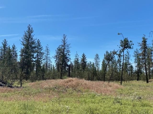 5742 J Corkscrew Canyon Rd, Tumtum, WA 99034