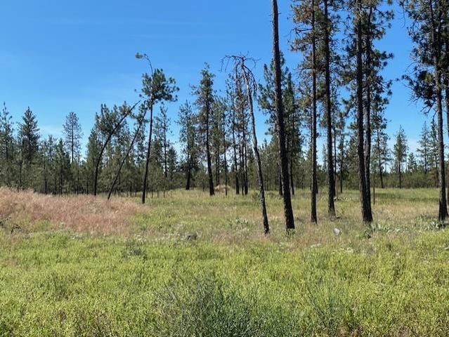 5742 J Corkscrew Canyon Rd, Tumtum, WA 99034