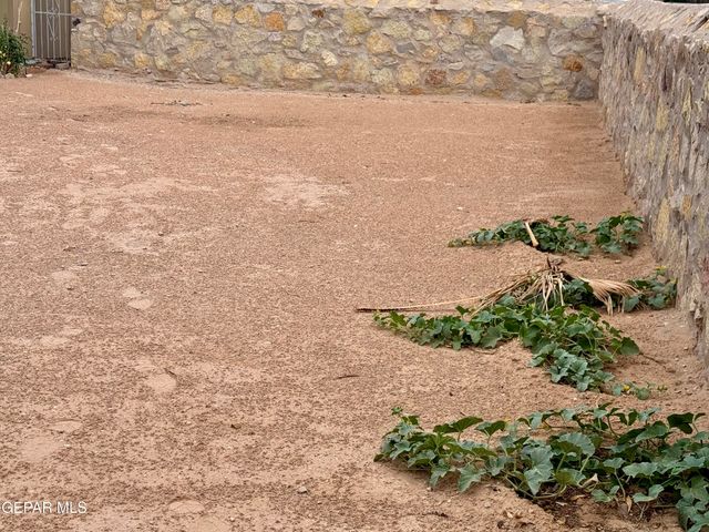 14475 Laureen Zelt Court, Horizon City, TX 79928