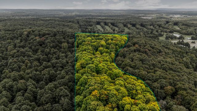 0 S Golden Valley Drive, Empire Twp, MI 49630