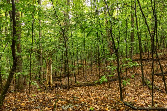 0 S Golden Valley Drive, Empire Twp, MI 49630