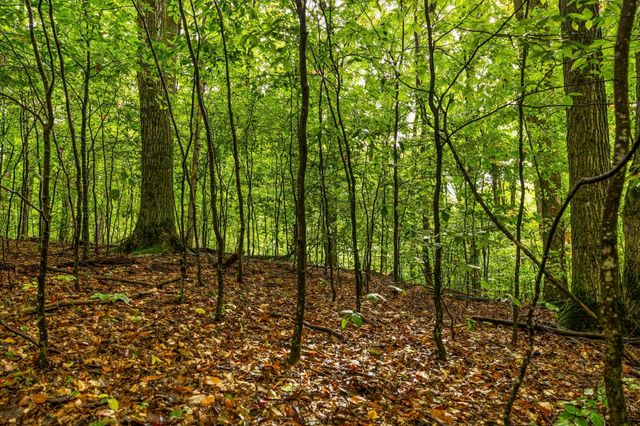 0 S Golden Valley Drive, Empire Twp, MI 49630