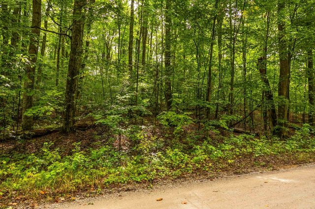 0 S Golden Valley Drive, Empire Twp, MI 49630