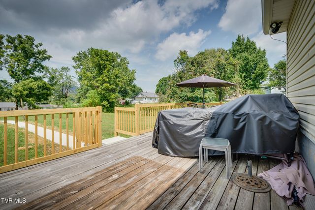 508 Chapman Street, Johnson City, TN 37604