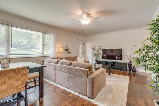 508 Chapman Street, Johnson City, TN 37604