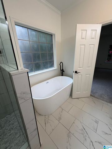 224 WOODBRIDGE TRAIL, Chelsea, AL 35043