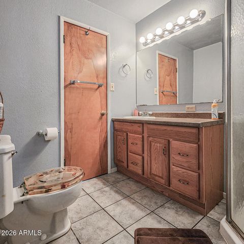 6413 W Barton Drive, Pine, AZ 85544