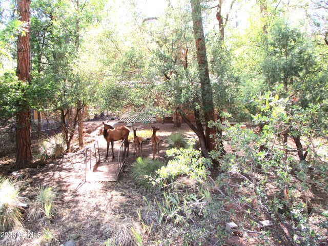 6413 W Barton Drive, Pine, AZ 85544