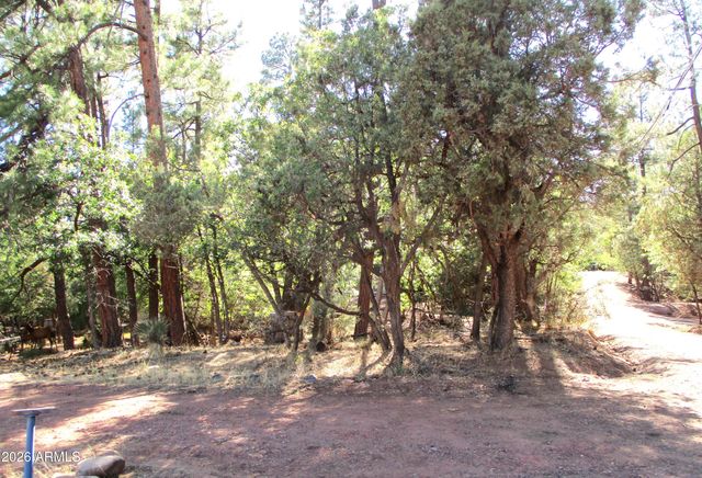 6413 W Barton Drive, Pine, AZ 85544