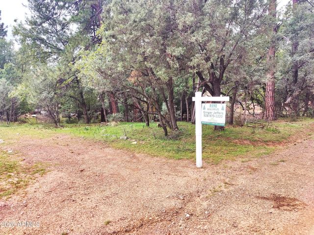 6413 W Barton Drive, Pine, AZ 85544