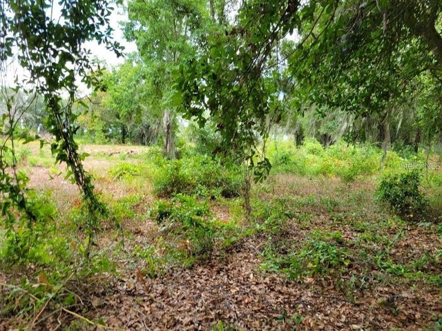 E LAKE SHORE BOULEVARD, Kissimmee, FL 34744