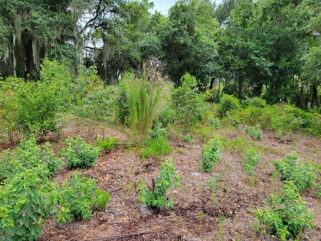 E LAKE SHORE BOULEVARD, Kissimmee, FL 34744
