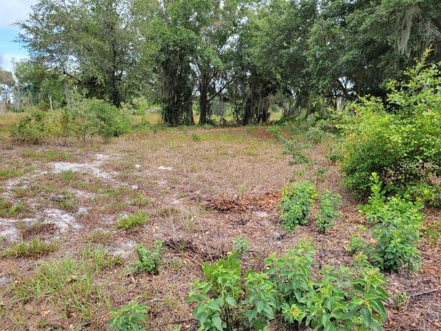 E LAKE SHORE BOULEVARD, Kissimmee, FL 34744