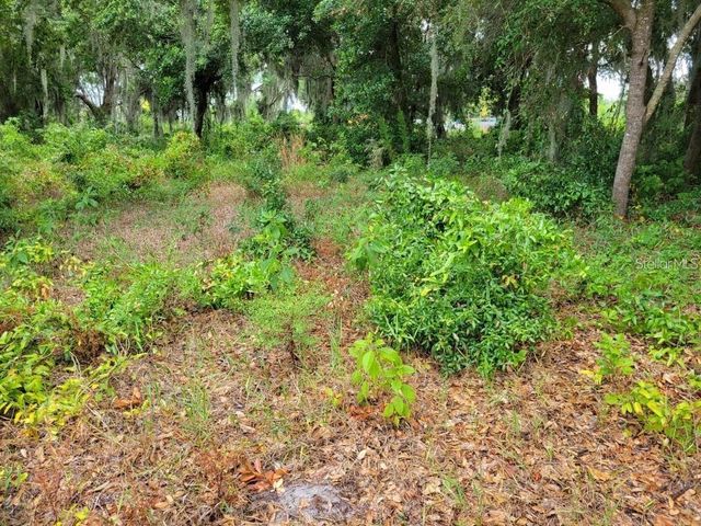 E LAKE SHORE BOULEVARD, Kissimmee, FL 34744