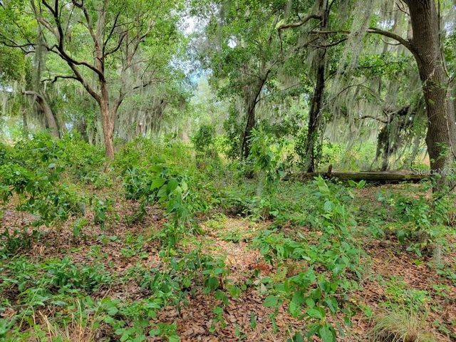 E LAKE SHORE BOULEVARD, Kissimmee, FL 34744