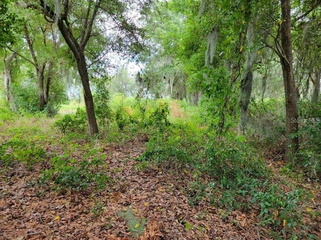 E LAKE SHORE BOULEVARD, Kissimmee, FL 34744