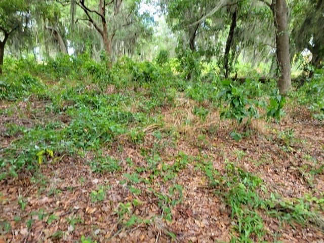 E LAKE SHORE BOULEVARD, Kissimmee, FL 34744