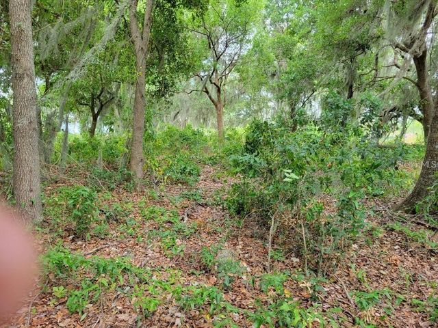 E LAKE SHORE BOULEVARD, Kissimmee, FL 34744
